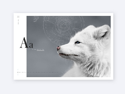 A is for Arctic Fox alphabet arctic fox layout web wildlife