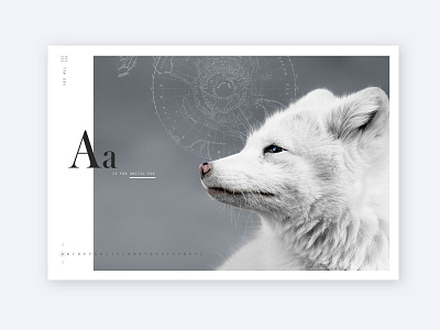 A is for Arctic Fox