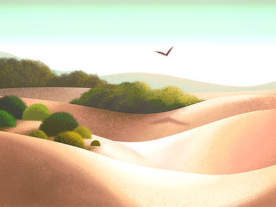 Sand bird desert landscape sand