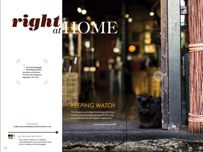 Magazine Layout Design - two-page spread at home victoria design double page graphic layout magazine