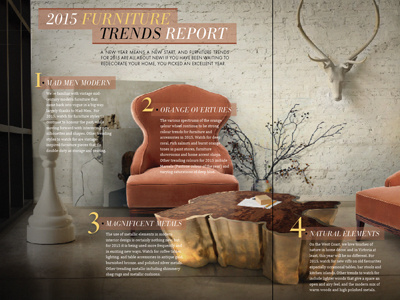 Magazine Layout - Furniture Trends at home victoria design double page graphic layout magazine