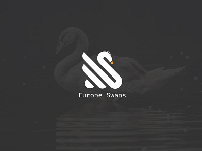 Europe Swans Duck Logo branding design flat flat logo illustration illustrator lettering logo minimal vector web website