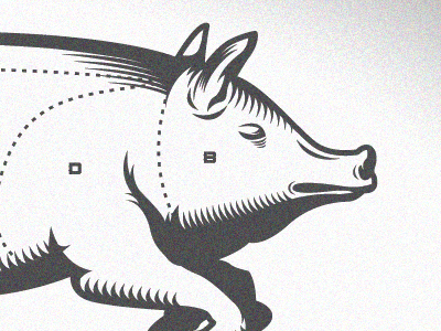 York - St. John Pig illustration typeface woodcut