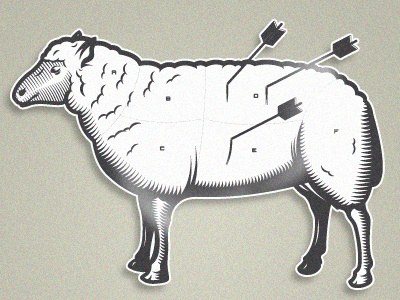 Sheep illustration sheep