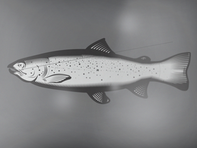 Slymaker fish graphic illustration