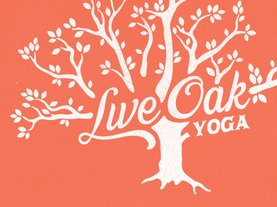 Live Oak Yoga leaves live oak orange texture tree white yoga