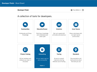 Developer Dashboard design concept adobe xd prototype ui ux wireframe