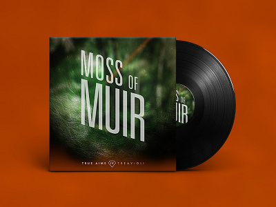 True Aims: Moss of Muir john muir mixtape moss music playlist san francisco sf spotify vinyl woods work music