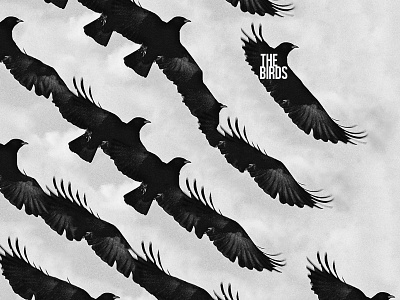 For The Birds accident alfred hitchcock beak bird birds black and white creepy design diagonal fly grain movie pattern photo photoshop poster the birds type unsplash wings