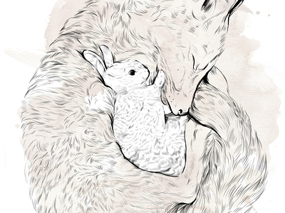 Fox & rabbit illustration procreate app