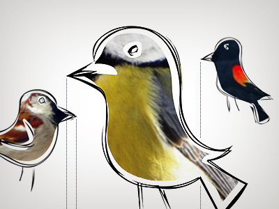 Dribbbletime! birds dribbble hello illustration
