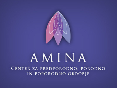 Amina Logo