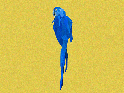 Parrot art design grain illustration low poly parrot vector