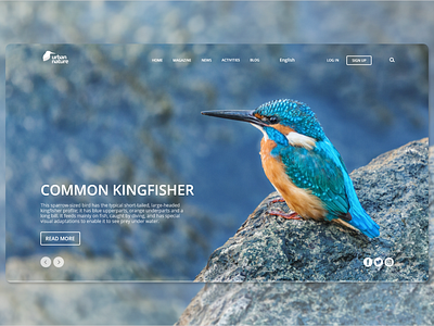 Urban nature magazine website concept