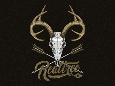 Deer Skull Illustration