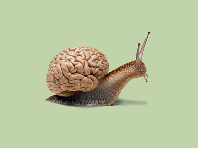Snail + Brain brain collage minimal mixed media photomontage snail