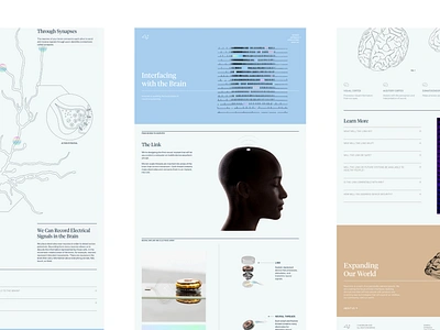 Neuralink - Website brain brains branding design elon musk identity neuroscience san francisco science science and technology science fiction science illustration technology typography ui ux web