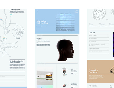 Neuralink - Website brain brains branding design elon musk identity neuroscience san francisco science science and technology science fiction science illustration technology typography ui ux web