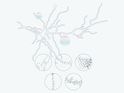 Neuralink - Illustration brain branding design identity illustration logo science scientific illustration technology ui ux vector web