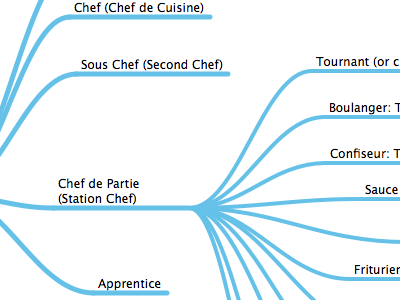 Chef Career Level Basic Badge/Icons Series Mindmap