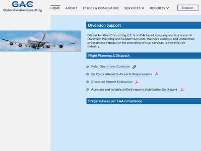 Global Aviation Website Design airllines airports aviation blue web design concept websites