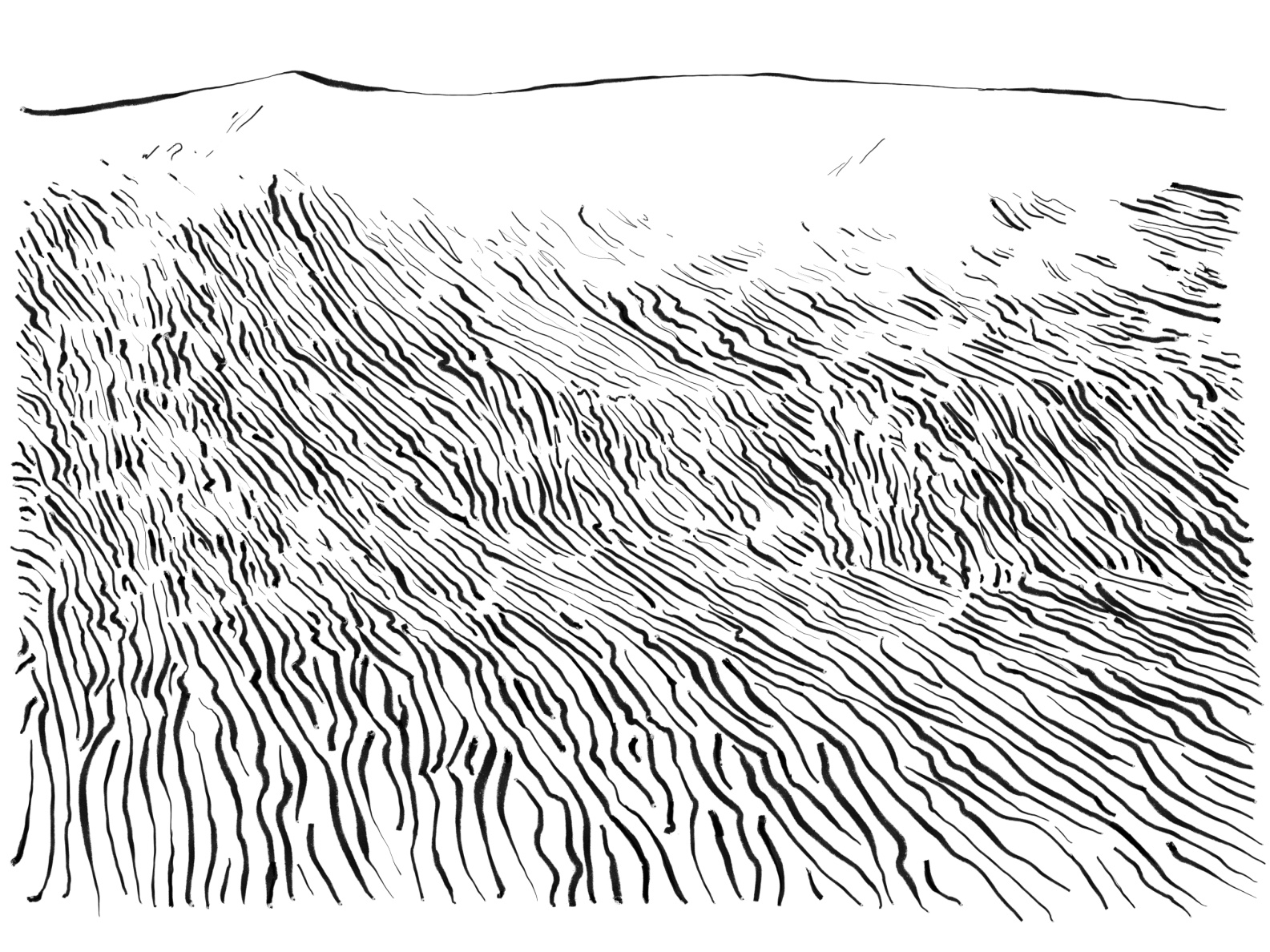 Pavel's Sand Drawing 2, The Friend of the Desert by Sara Christian on