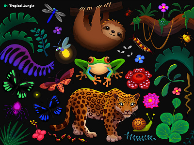 Garmin | Adventure Trail / 01B. Jungle Props butterfly cat centipede firefly flowers fly forest frog game illustration insect jaguar jungle leopard moth plants sloth snail snake tropical