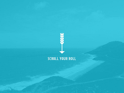 Scroll Your Roll arrow beach beer branding island packaging water web design