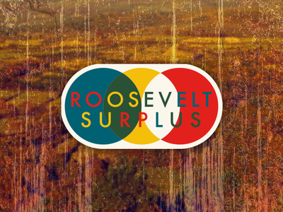 Roosevelt Surplus - Logo Study II brand and identity business camping logo logo design