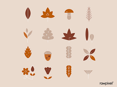 Autumn Elements