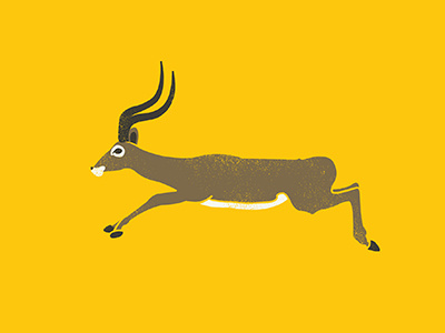Impala | 365 Animals 365 animals animals antelope illustration impala series