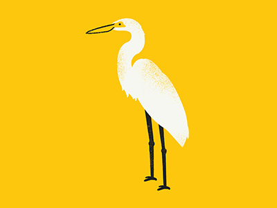 Crane | 365 Animals 365 animals animals crane illustration series