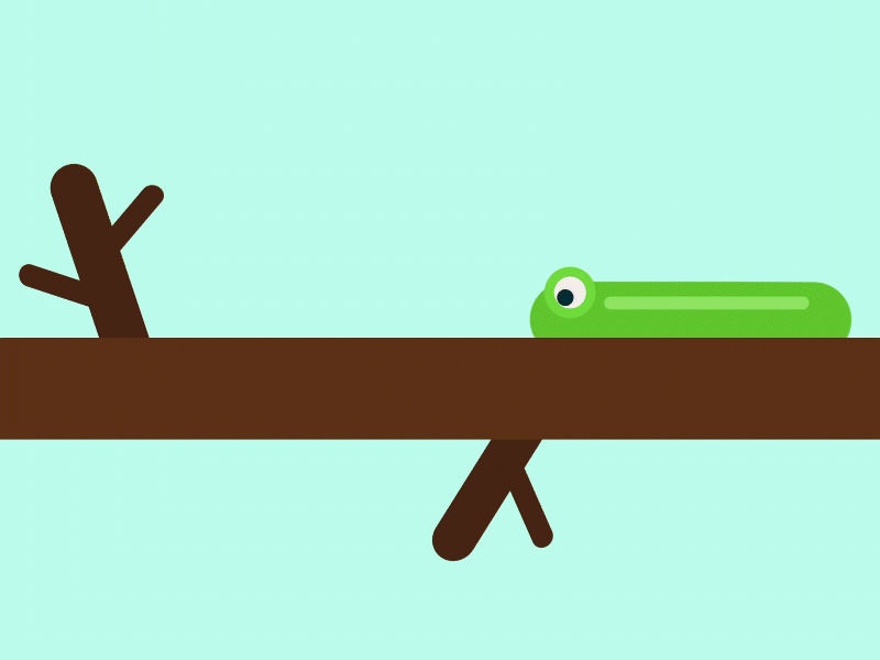 Worm over the branch