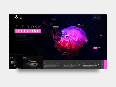 News Web Concept "Bionic Jellyfish" blog concept design flat interface nature news typography ui ux vector web web design website