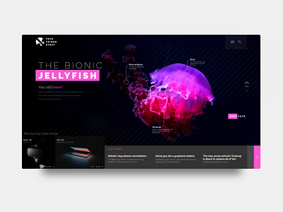 News Web Concept "Bionic Jellyfish"