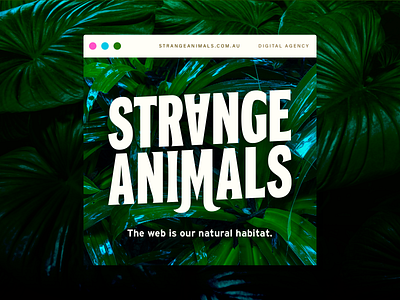 Natural Habitat branding design design studio digital agency foliage logo logotype plants promotion social social media typography ux web websites