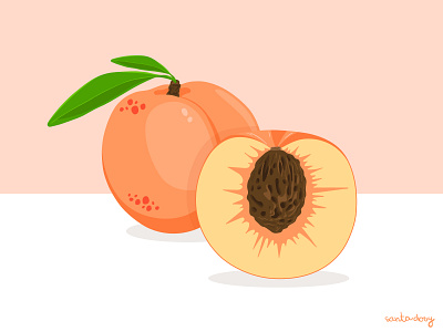 Illustration of sweet delicious peaches adobe cut cute design food fresh fruit illustration illustrator leaves nature orange peach round seed slice sweet vector vegan
