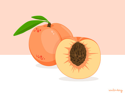 Illustration of sweet delicious peaches