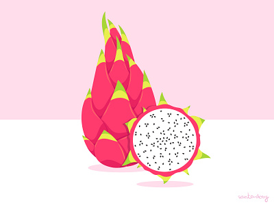 Dragon Fruit Illustration