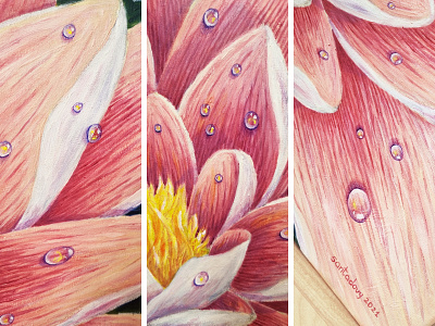 Water Lily 2 art blossom canvas detailed illustration floral flower flower illustration illustration oil on canvas oil paint painting pink traditional art water drop water lily