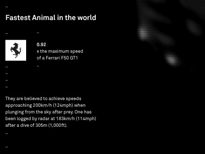 Fastest Animal in the world data visualisation poster typography