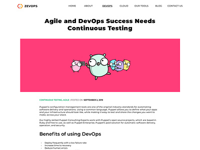 Zevops   Blog page UI design