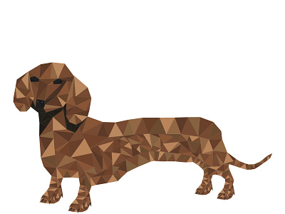 Dachshund Geometric Shape dachshund design dog geometric illustration