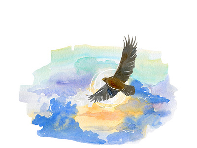 Eagle eagles water colour иллюстрация
