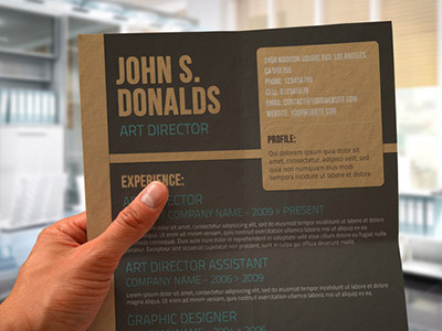 Fancy Resumes designs themes - 2a0aa1ca188752deca6113ef6c53f354