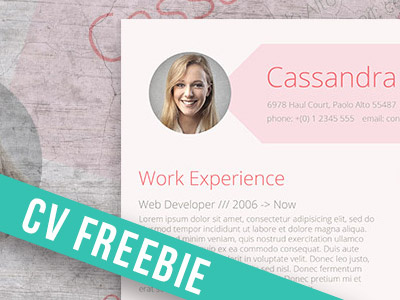 Pink Resume Template Freebie free ms word resume free resume freebie freesumes resume template for free