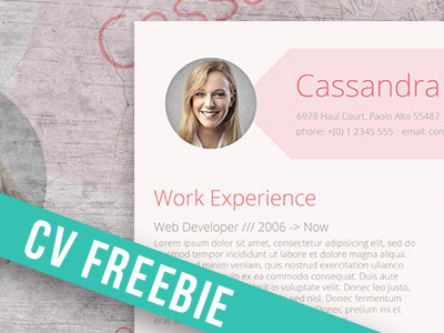 Pink Resume Template Freebie