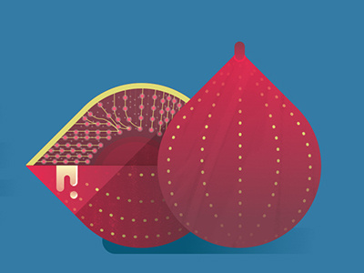 Fig food fruit illustration vector