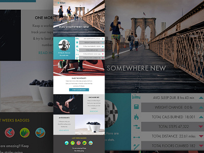 Fitbit Email css design email html sketchapp