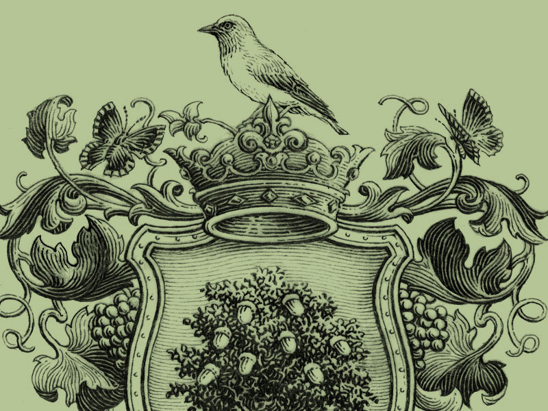 Coat-of-Arms by Simon Frouws on Dribbble